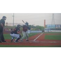 Ronnie Richardson of the Evansville Otters at the Plate