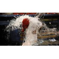 Darius Day of the Spokane Indians Gets Doused