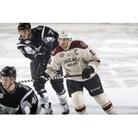 Chicago Wolves Center Pat Cannone vs. the San Antonio Rampage