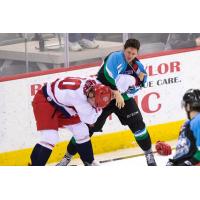 Alaska Aces Fight with the Allen Americans