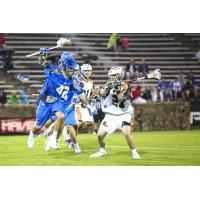 Charlotte Hounds vs. the Rochester Rattlers