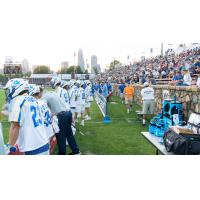 Charlotte Hounds Prepare to Take the Field