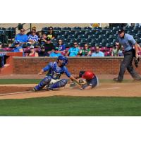 Lexington Legends Catcher Michael Hill Tags out Hagerstown Suns Runner Matthew Page at the Plate