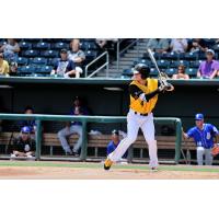 Riddle Named Southern League Postseason All-Star