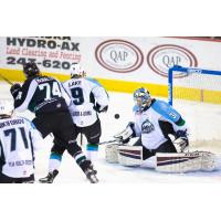Aces' Kevin Carr Named ECHL Goaltender of the Week