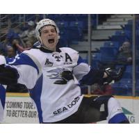 Sea Dogs Extend Win Streak To Fourwith Shootout Stunner Over Shawinigan