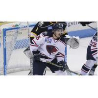 South Carolina's McParland Named CCM ECHL Rookie of the Month