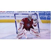 Allen's Gill Named CCM ECHL Goaltender of the Week