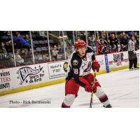 Elmira's Karabacek Named Sher-Wood Hockey ECHL Player of the Week