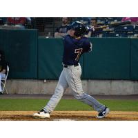 Aaron Dudley of the Somerset Patriots takes a swing